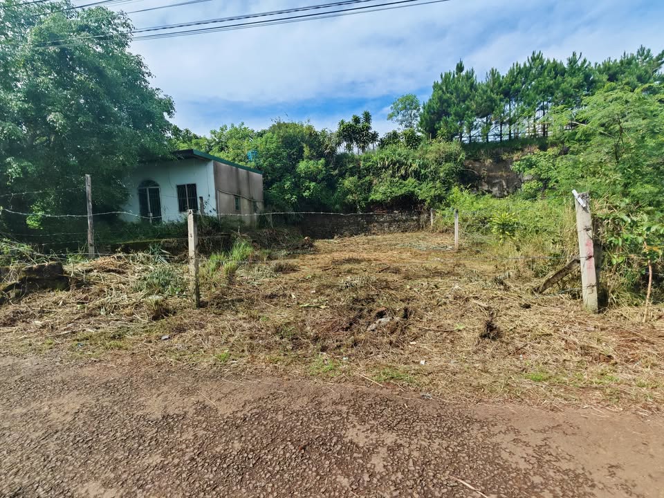 Đất nền mặt tiền 123 Mạc Đĩnh Chi, Bảo Lộc 230m² chỉ 2.4 tỷ - Cơ hội đầu tư hấp dẫn!