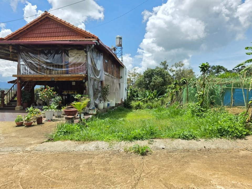 Đất nền B'Lao Bảo Lộc 126m² giá 1.48 tỷ - Pháp lý rõ ràng, sổ đỏ chính chủ!