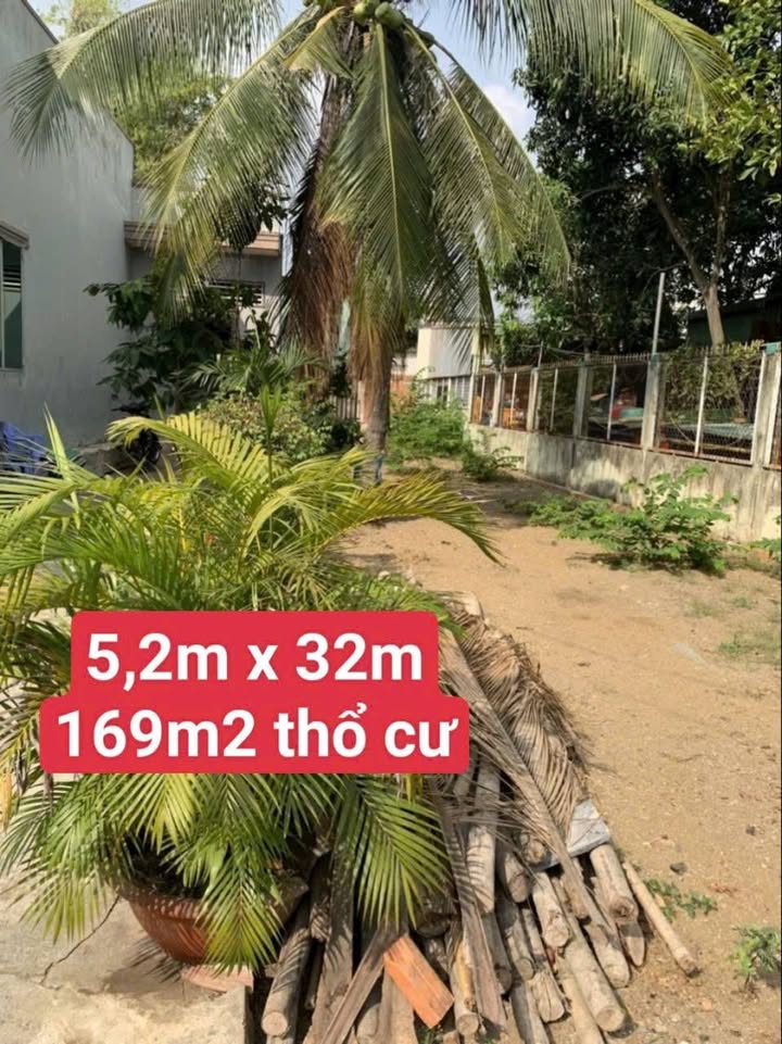 Đất thổ cư 169m² Khu phố 3, Cần Giuộc chỉ 2.5 tỷ - Sổ hồng riêng, hẻm xe hơi