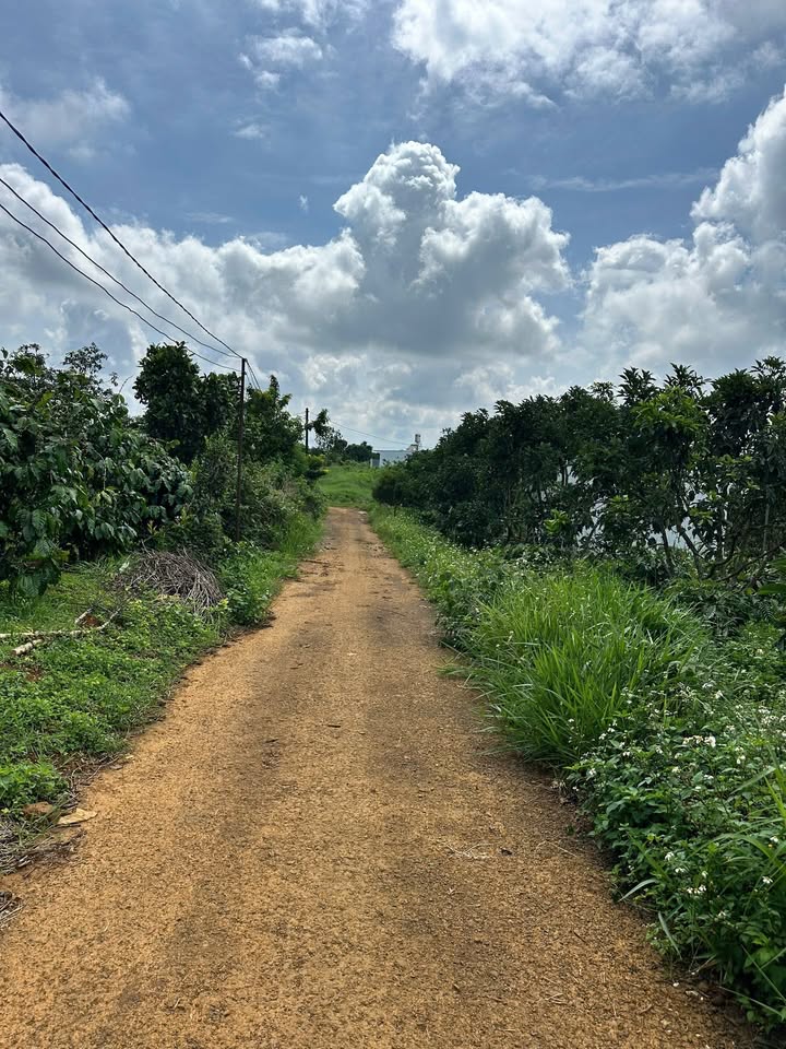 Đất nền Hẻm Nguyễn Viết Xuân Bảo Lộc 1000m² giá 1.8 tỷ - Cơ hội đầu tư tuyệt vời!