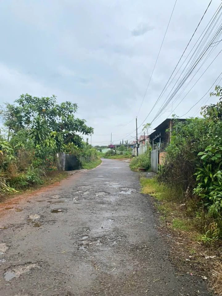 Đất FrontHouse 123 Mạc Đĩnh Chi, Bảo Lộc 230m² giá 2.4 tỷ - Pháp lý rõ ràng, sổ đỏ chính chủ!