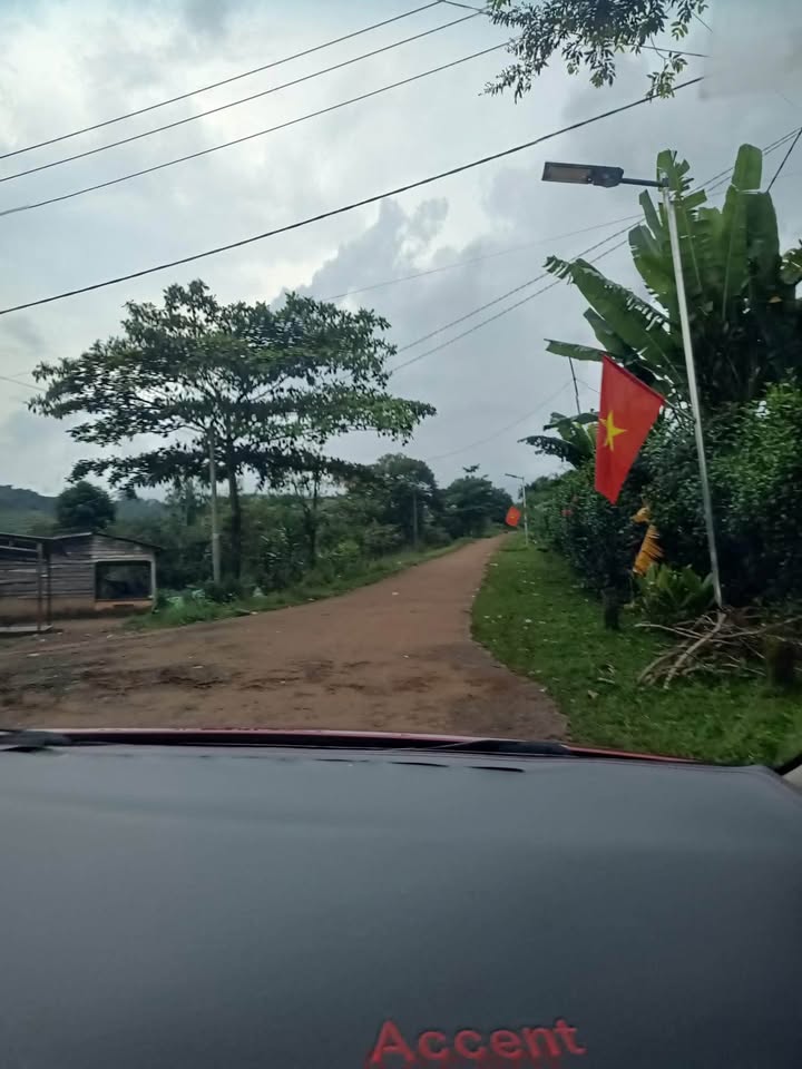 Đất nền Quảng Tín Đắk Nông 174m² giá 350 triệu - Đầu tư sinh lời ngay!