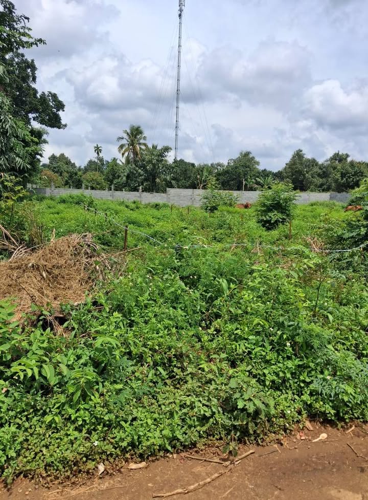 Đất nền 205m² tại Tân An, Buôn Ma Thuột giá 1.399 tỷ - Đầu tư sinh lời ngay!