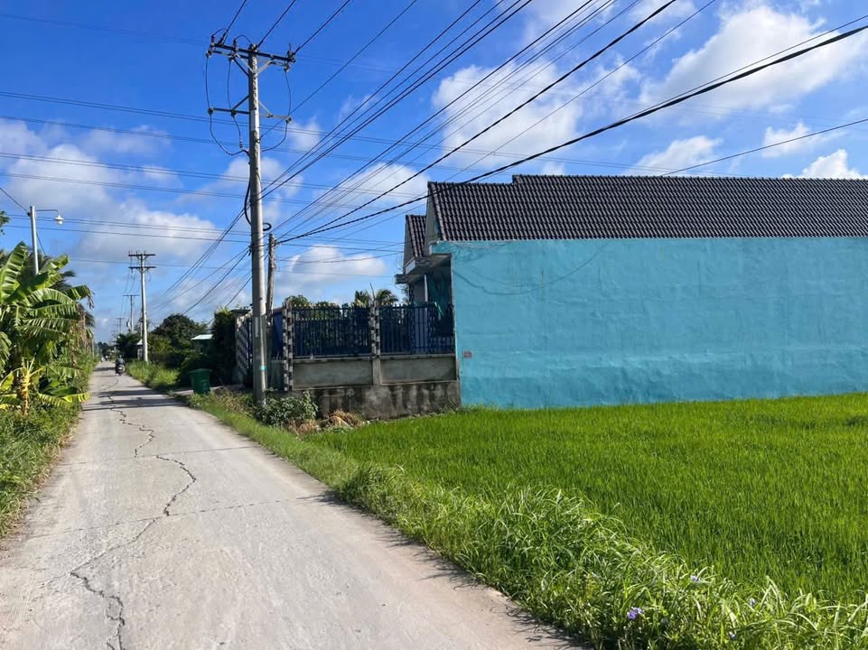 Đất mặt tiền đường Ấp 2, Mỹ Yên, Bến Lức 1618m² giá 8.8 tỷ - Đầu tư lý tưởng!