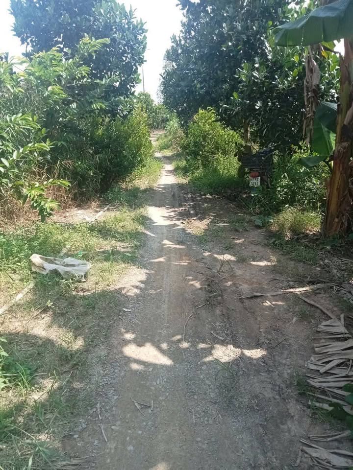 Đất nền xã Mỹ Lợi, Cao Lãnh 1000m² giá 640 triệu - Đầu tư sinh lời ngay!