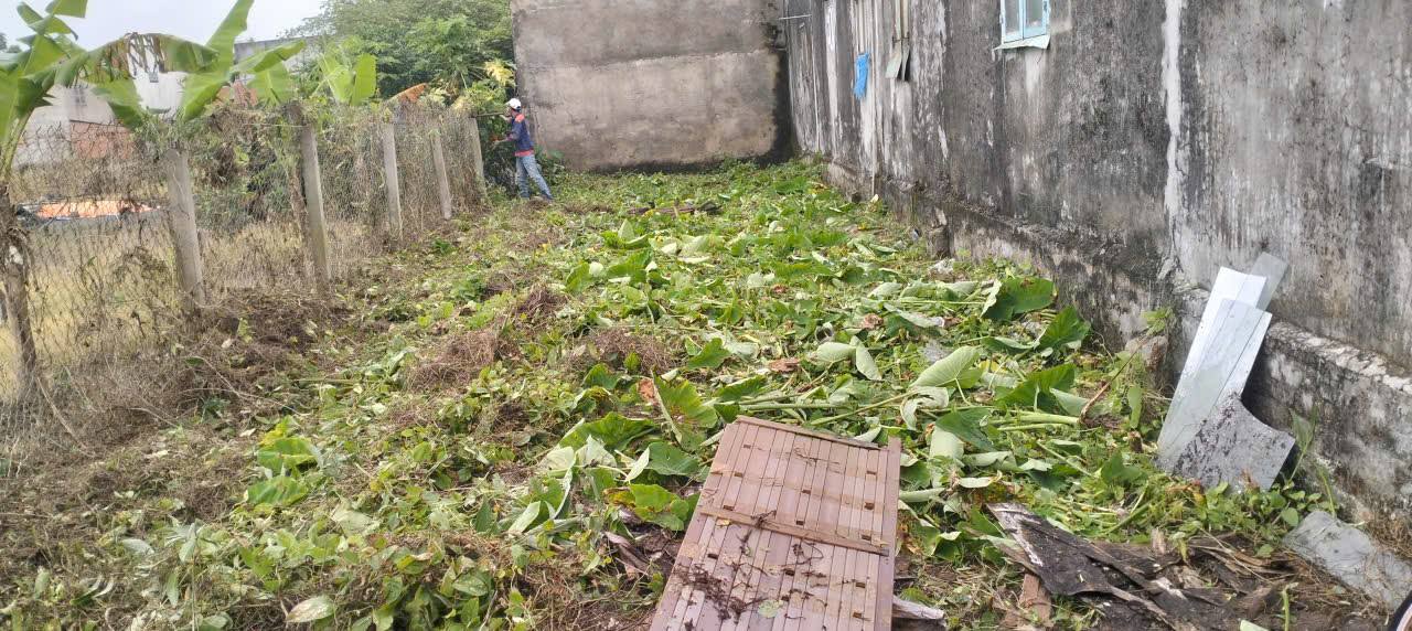 Đất nền hẻm ba gác Tân Quý Tây 80m² giá 1.1 tỷ - Sổ đỏ chính chủ!