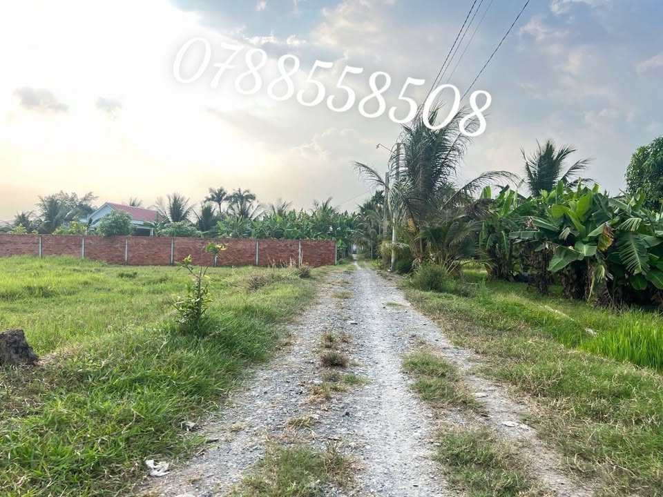 Đất thổ cư Hòa Khánh Đông, Đức Hòa, Long An 180m² giá 860 triệu - Sổ đỏ chính chủ!