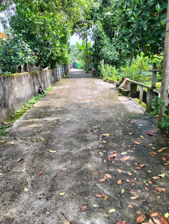 Đất nền Tân Minh Ý Yên 209m² giá 600 triệu - Đường ô tô vào tận nơi!