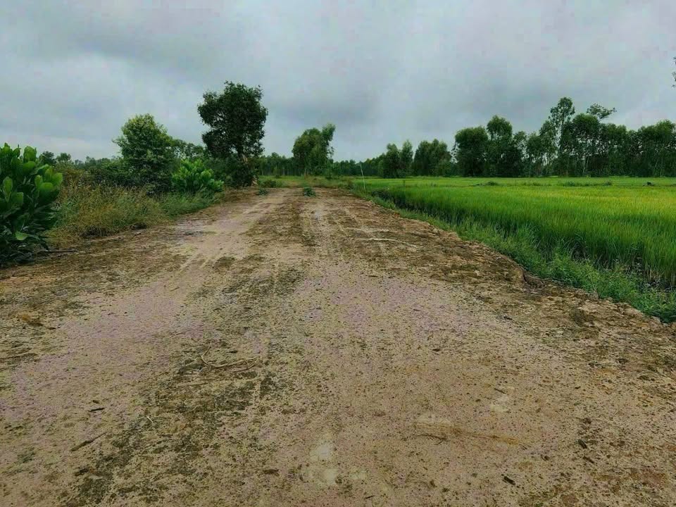 Đất vườn 780m² xã Tân Phú, Đức Hòa 1.2 tỷ - Giá tốt, xe hơi vào tận đất!