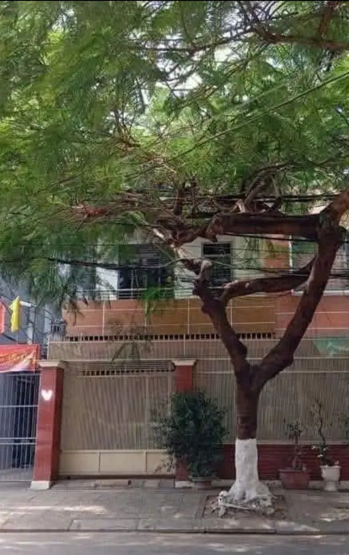 Nhà mặt tiền 3 tầng đường Nguyễn Chí Thanh, Đà Nẵng 152m² giá 22.5 tỷ - Đầu tư sinh lời ngay!