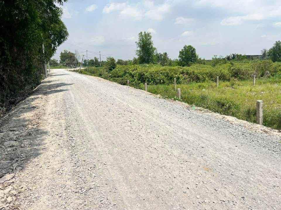 Đất nền Bình Đức Bến Lức 1.000m² giá 1.3 tỷ - Tiềm năng đầu tư sinh lợi cao!