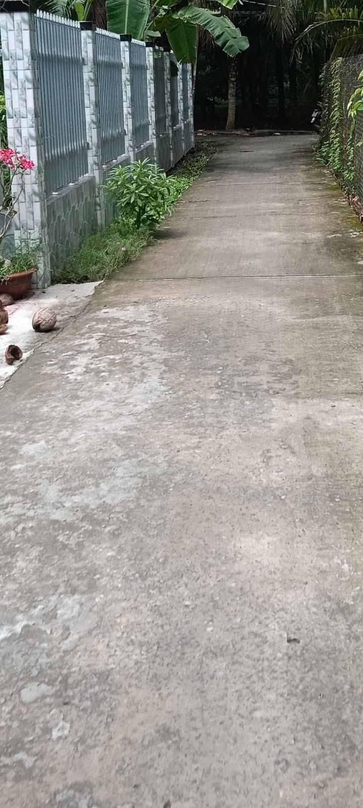 Đất nền đẹp tại Mỹ Phước Tây, Cai Lậy 180m² giá chỉ 1.15 tỷ - Đầu tư sinh lời ngay!