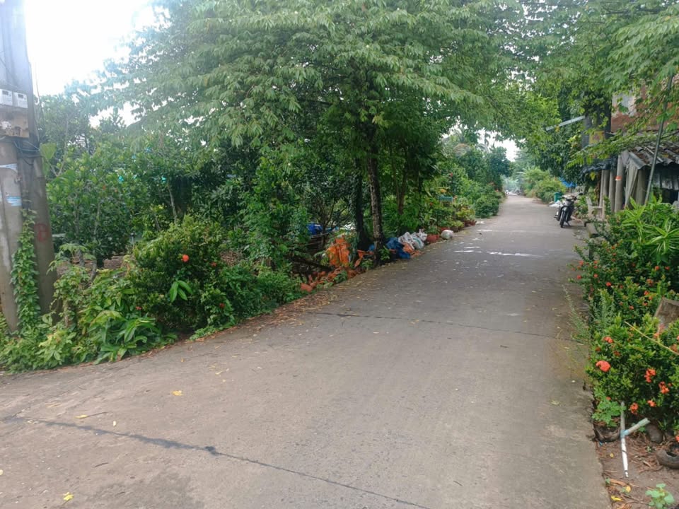 Đất nền xã Phú An, huyện Cai Lậy 290m² giá chỉ 670 triệu - Đầu tư nghỉ dưỡng lý tưởng!