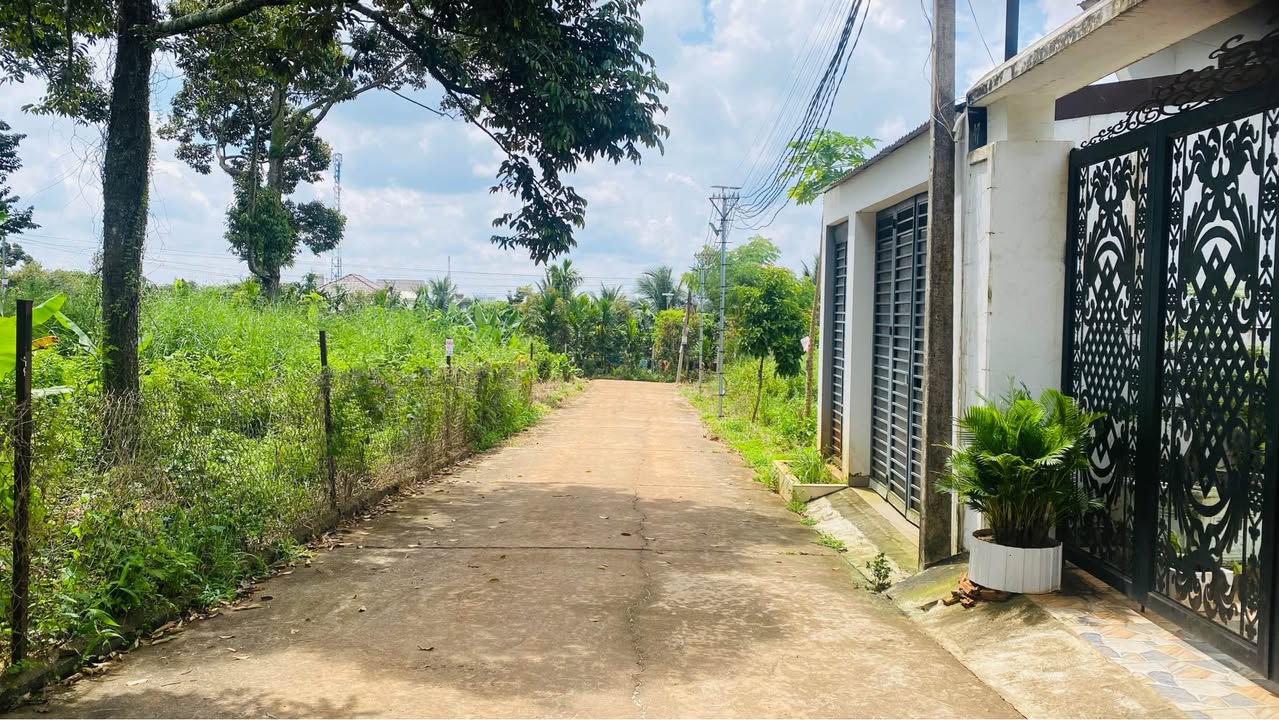 Đất hẻm cấp 1 Nguyễn Huệ, Tân Lợi 100m² giá 2.8 tỷ - Đầu tư sinh lời hấp dẫn!