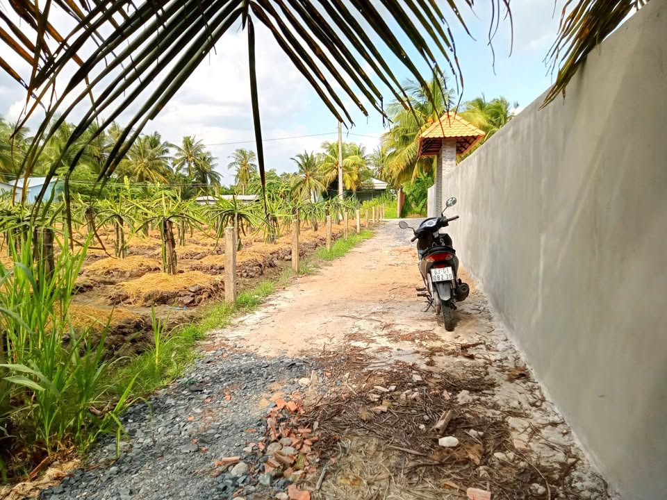 Đất cây lâu năm An Thạnh Thủy, 1945m² giá 1.15 tỷ - Đường đá mi 2m, gần huyện lộ 21!