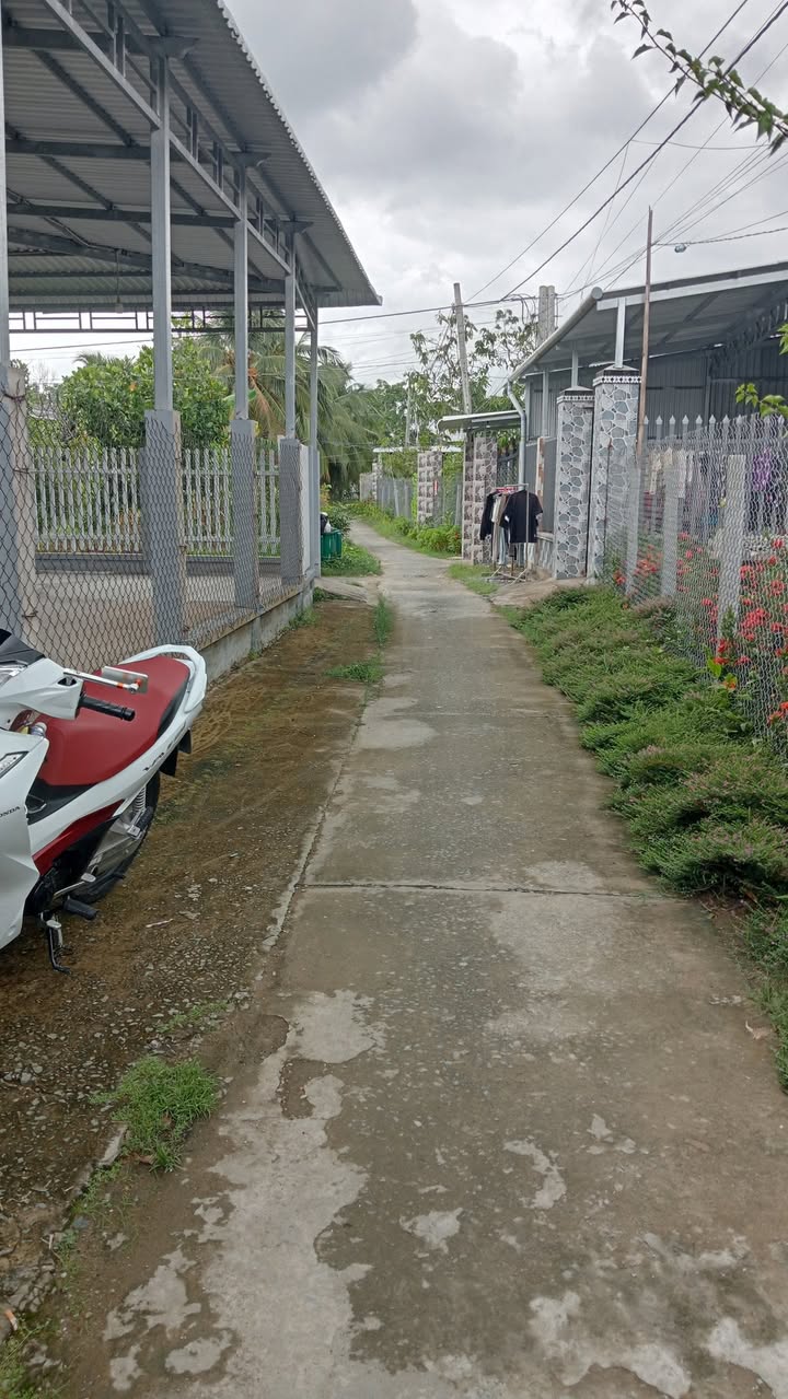 Đất nền mặt tiền 450m² tại Phú An, Cai Lậy - Giá 1.1 tỷ, sổ hồng riêng!