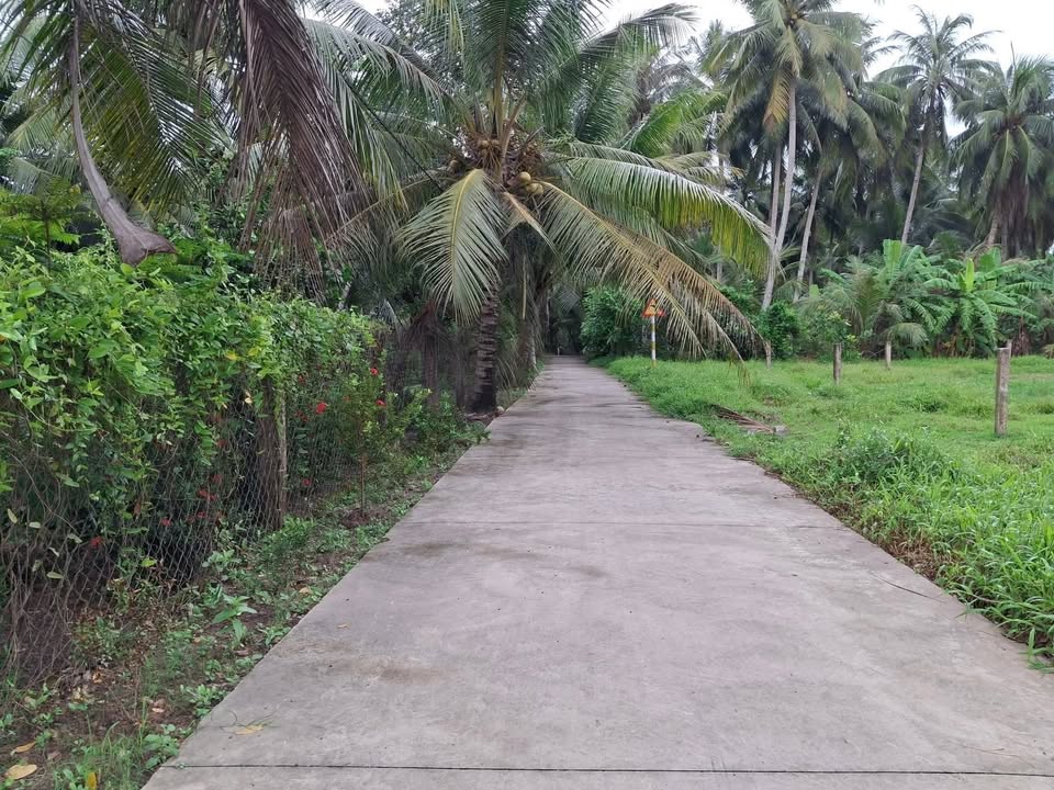 Đất nền Vĩnh Hựu, Gò Công Tây 256m² giá 340 triệu - Sổ đỏ chính chủ, bớt lộc nhẹ!