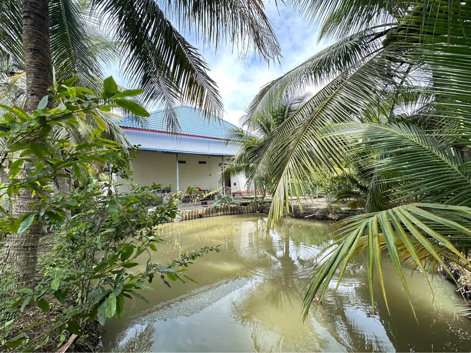 Nhà vườn nghỉ dưỡng tại Phước Thạnh, Mỹ Tho, 1.620m² giá 6.9 tỷ - Không gian yên tĩnh lý tưởng!