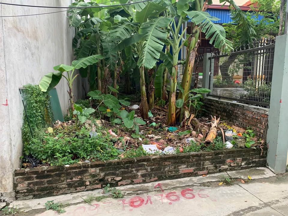 Nhà riêng Hồng Thái, An Dương 71m² giá 1.7 tỷ - Đường thông, gần chợ