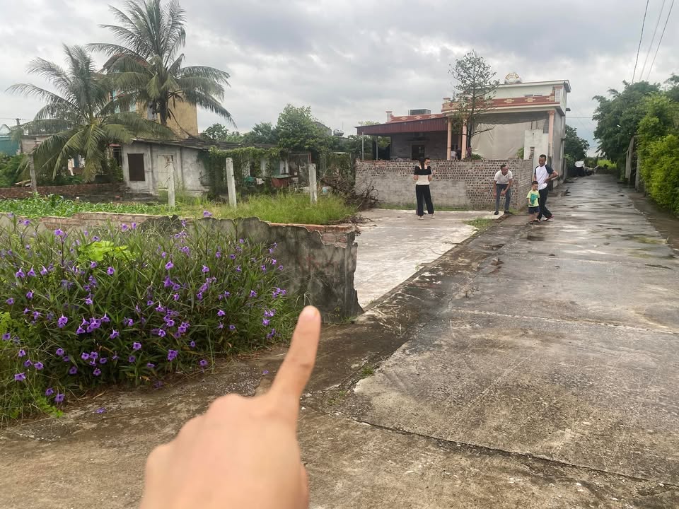 Đất Thái Phúc, Thái Thụy 100m² giá 600 triệu - Cơ hội đầu tư tuyệt vời!