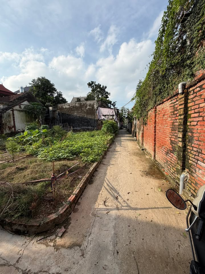 Đất nền lô góc 50m² Phụng Thượng, Phúc Thọ giá 2 tỷ - Đường rộng ô tô vào được!