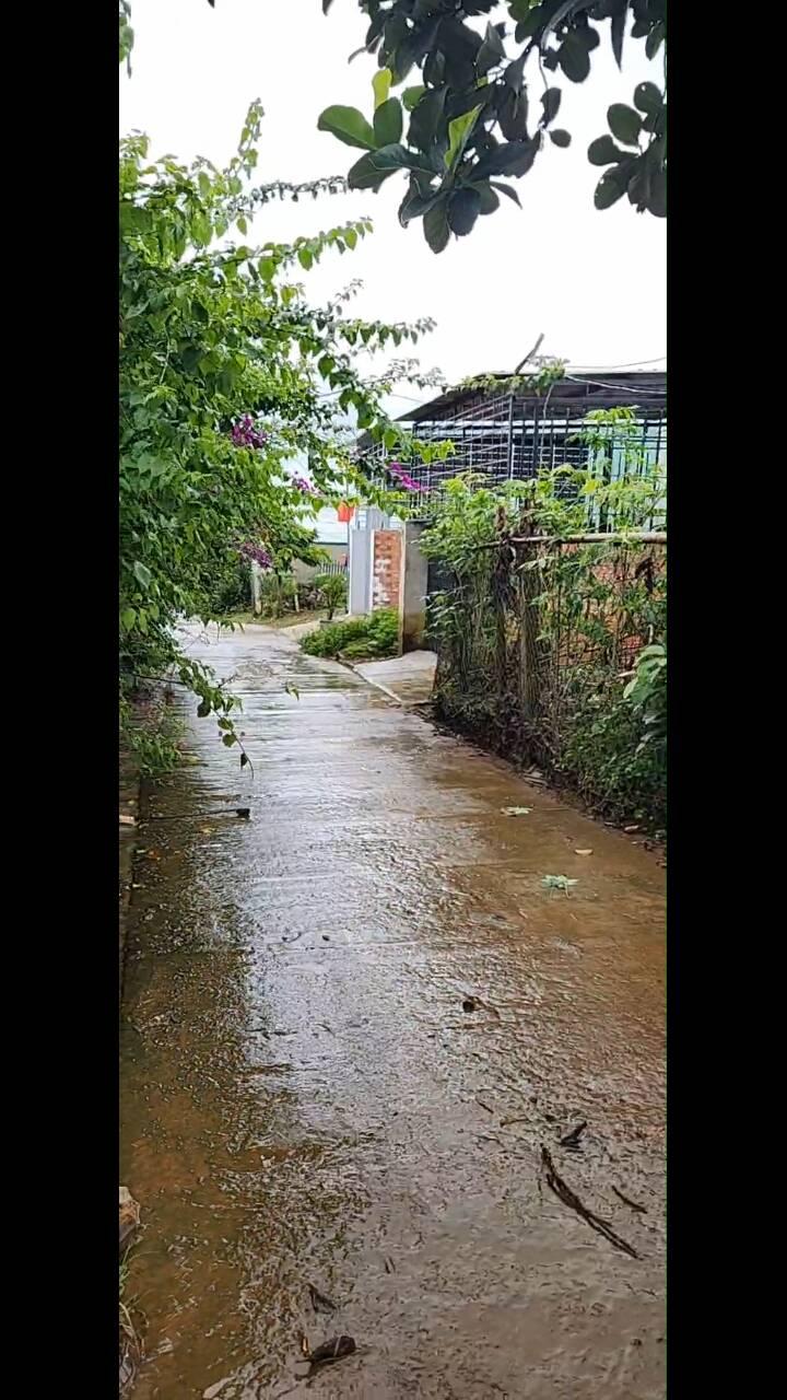 Đất nền An Phú, Pleiku 83m² giá 300 triệu - Vị trí đắc địa gần Bùi Viện!