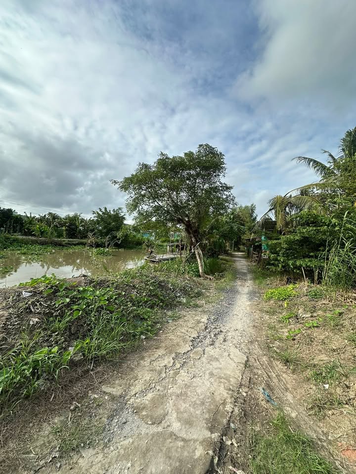 Đất nền 110m² Trường Thành, Thới Lai, Cần Thơ chỉ 350 triệu - Cơ hội đầu tư tuyệt vời!