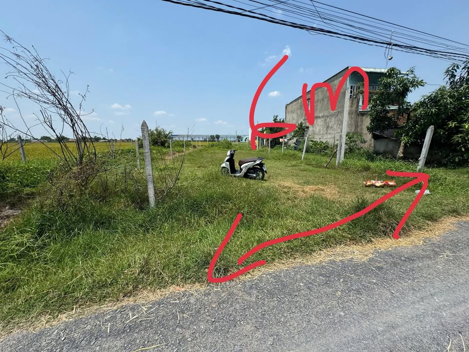 Đất nền 228m² tại Ấp Nhơn Hòa 1, Đức Hòa - Giá chỉ 750 triệu - Đầu tư sinh lời ngay!