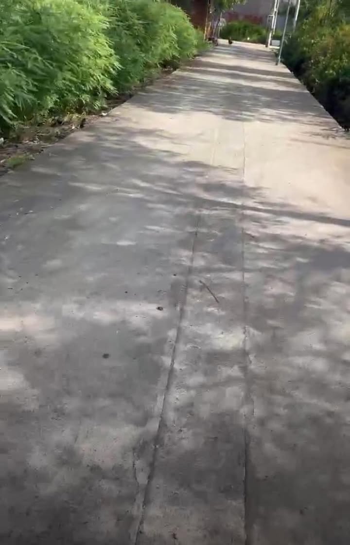 Đất nền 130m² tại ấp 3 Long Thọ, Nhơn Trạch - Giá đầu tư chỉ 1.3 tỷ!