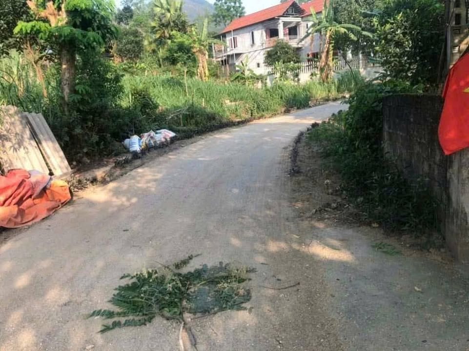 Đất nền 300m² tại Tam Đa, Lãng Công, Sông Lô - Giá chỉ 200 triệu!