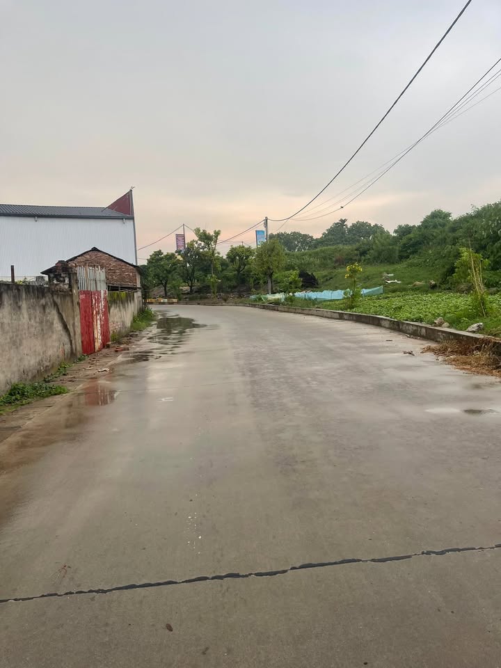 Đất nền 100m² khu phố Phú Mỹ, giá 3 tỷ - Cơ hội đầu tư tuyệt vời!