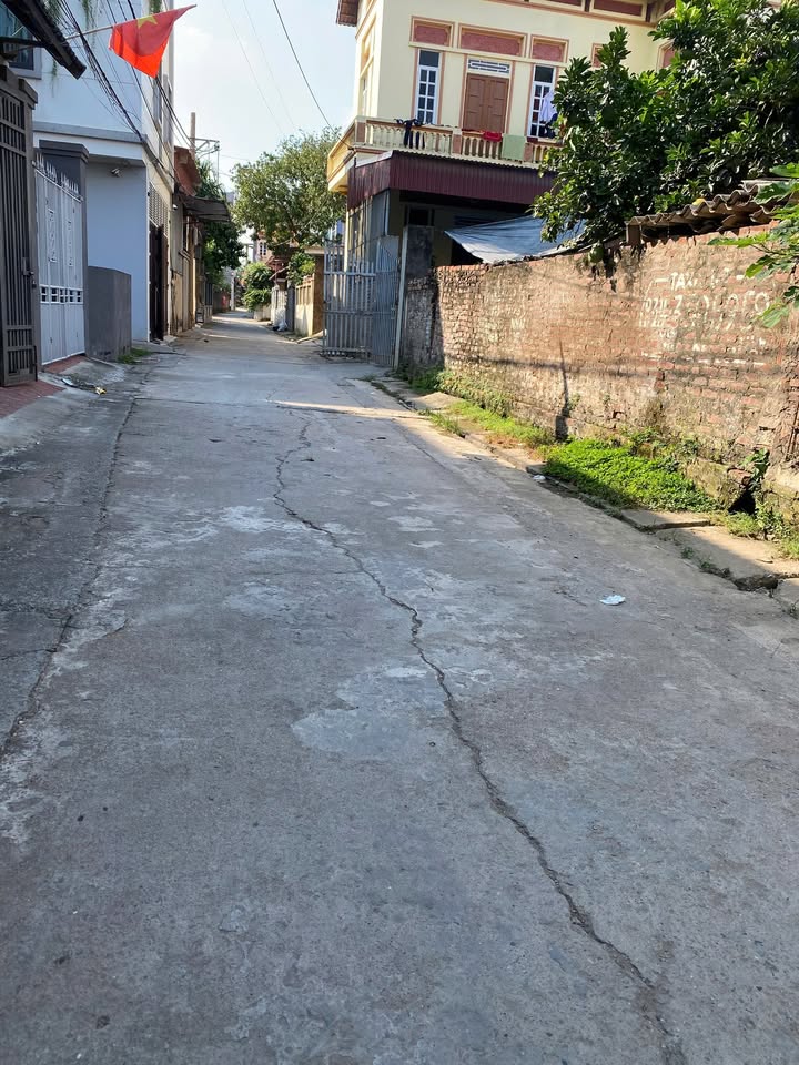 Đất nền thôn Tráng Việt, xã Mê Linh, 85m² giá thỏa thuận - Cơ hội đầu tư hấp dẫn!