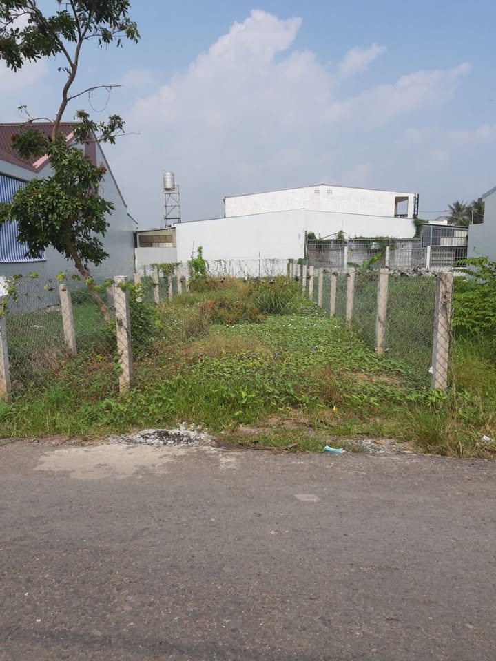 Bán đất mặt tiền đường nhựa 125m² giá 1.4 tỷ - Cơ hội đầu tư tuyệt vời!