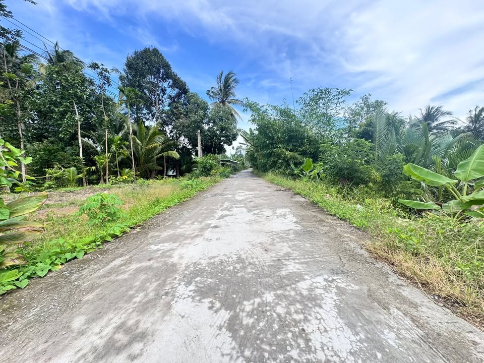 Đất nền Ngãi Tứ, Tam Bình, Vĩnh Long 107m² chỉ 190 triệu - Mặt tiền ô tô, sổ hồng chính chủ!