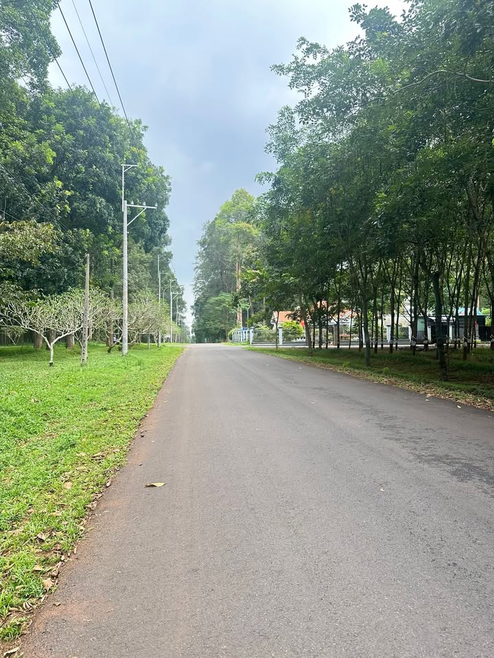 Đất mặt tiền nhựa Suối Tre 168m² giá thỏa thuận - Đầu tư sinh lời ngay!