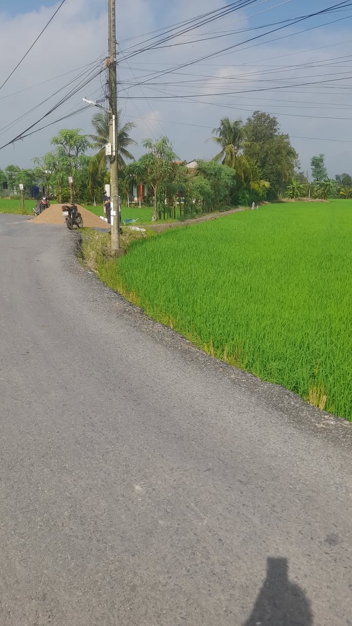 Đất nền 4200m² tại Bình Xuân, Gò Công - Giá chỉ 700 triệu, chính chủ bán gấp!