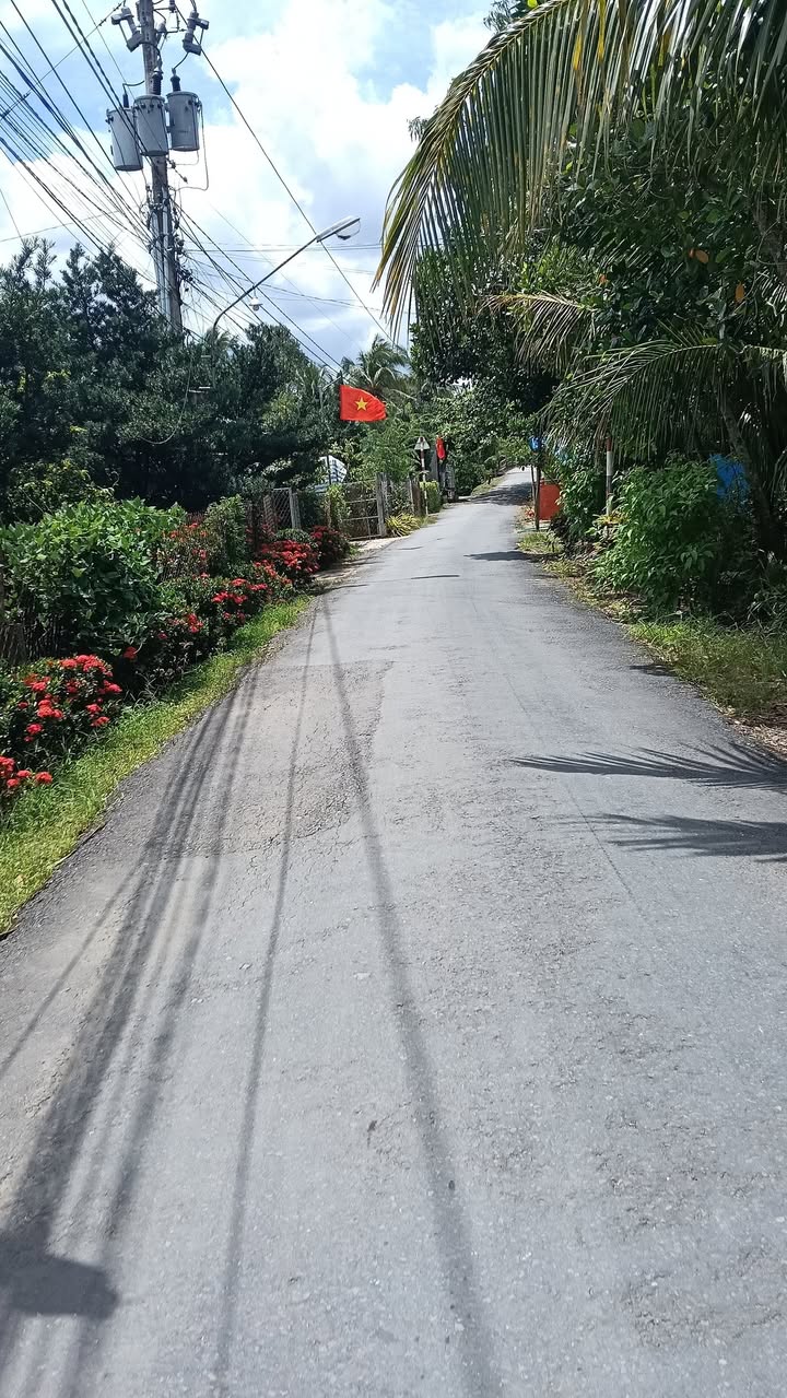 Bán đất nền dự án Cai Lậy 455m² giá chỉ từ 400 triệu - Pháp lý rõ ràng!