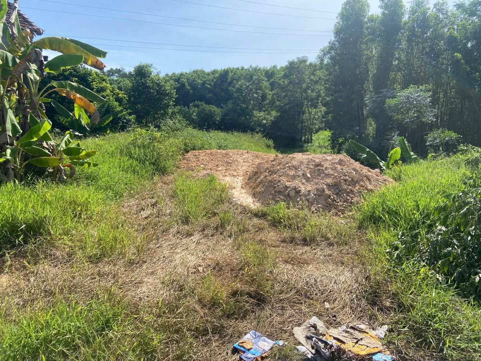 Đất Mặt Tiền Đường Phùng Quán, Thủy Dương 182m² giá 910 triệu - Cơ hội đầu tư tuyệt vời!