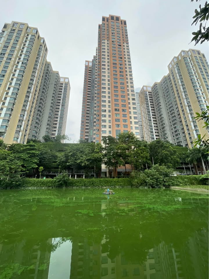 Chung cư Mulberry Mỗ Lao 125m² giá 9 tỷ - Nội thất hiện đại, sẵn sổ