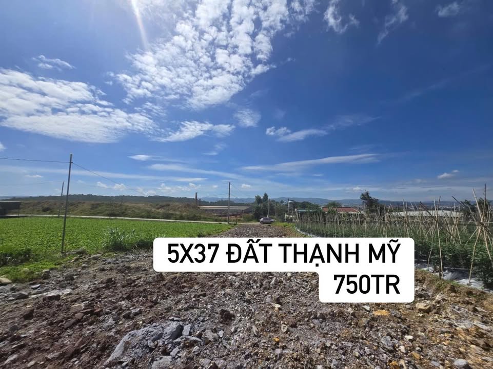 Đất nền thổ cư Đinh Tiên Hoàng, Đơn Dương 185m² giá 750 triệu - Đầu tư sinh lời nhanh!