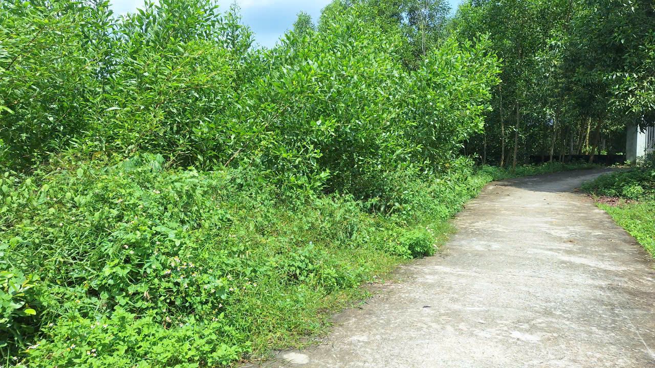 Đất vườn Quế Mỹ 825m² giá 900 triệu - Phù hợp tách thửa 5 lô