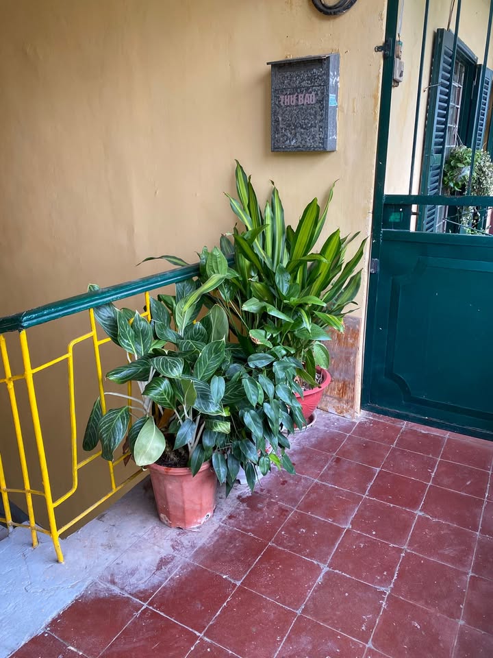 Căn hộ T5 Trung Tự, Đống Đa 70m² giá 7.5 triệu - Chính chủ cho thuê gấp!