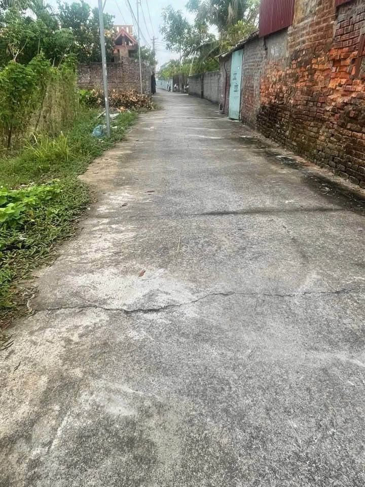 Đất nền Thụy Sơn - Thái Thụy 157m² giá 1.2 tỷ - Đầu tư sinh lời hấp dẫn!