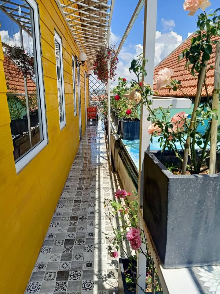 Cho thuê homestay Đà Lạt 400m² giá 15 triệu - View thành phố tuyệt đẹp!