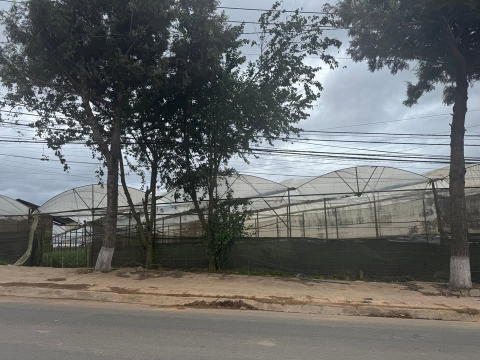 Đất Mặt Tiền Đẹp 1270m² tại Phường Xuân Trường, Đà Lạt - Cơ Hội Đầu Tư Sinh Lời Cao!