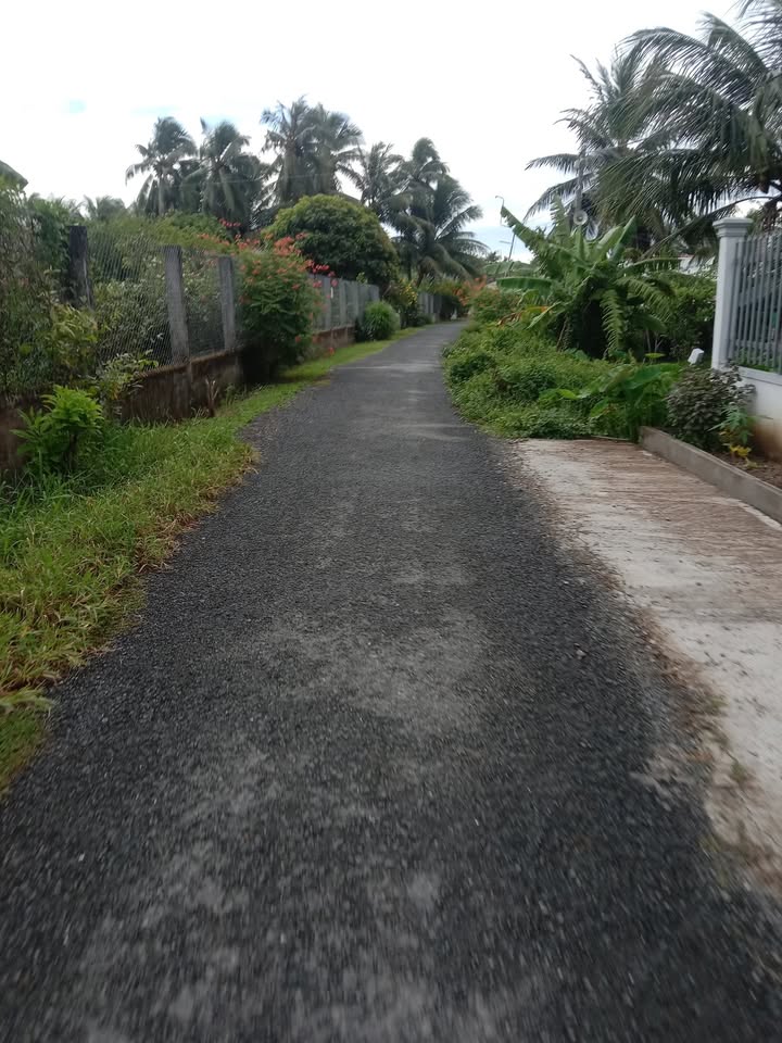 Đất mặt tiền nhựa Long Đức 150m² giá chỉ 3xx triệu - Cơ hội đầu tư tuyệt vời!