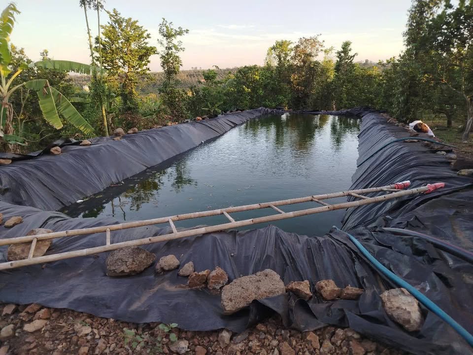 Đất Farm 17.000m² cho thuê tại xã Bảo Bình, Cẩm Mỹ - Nguồn thu ổn định 400 triệu/năm!