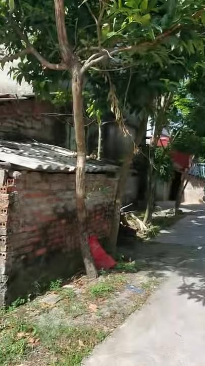 Bán đất thổ cư Phú Giáp, Yên Phong, Ý Yên, Nam Định 142m² - Hướng Tây Bắc, Ô tô vào tận nơi!