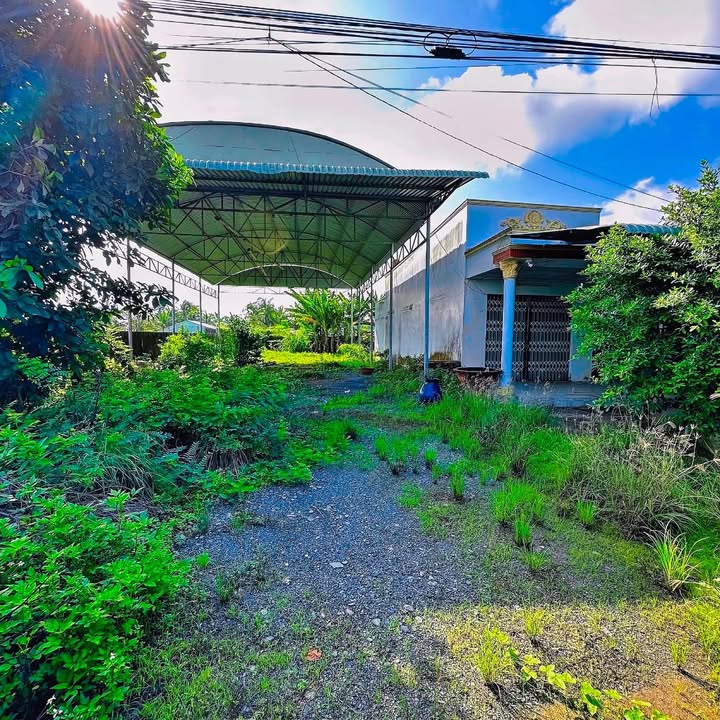 Bán đất 2 mặt tiền đường tỉnh 879C, Tiền Giang 1020m² giá 6.8 tỷ - Đầu tư sinh lời ngay!