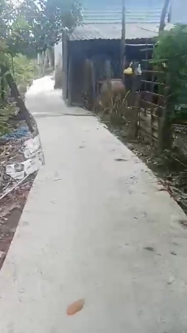 Nhà cấp 4 mặt tiền 7,7x14m tại An Thái Trung, Cái Bè - Giá chỉ 300 triệu!